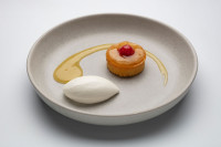 platos 16.jpg